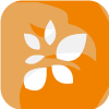 TFI Securities and Futures Limited(Hong Kong)