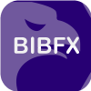 鑄博皇御環球金融有限公司 BRILLIANT GLOBAL FINANCIAL LIMITED