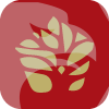 BOA INTERNATIONAL SECURITIES LIMITED(Hong Kong)