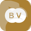 BRAVE ENTERPRISE PTY LTD(Australia)