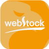 WEBSTOCK LLC(Delaware (United States))