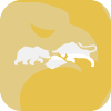 FX GOLD LIMITED(United Kingdom)