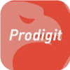 PRODIGIT INVESTMENTS LTD
