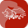 CITY ELITE CAPITAL MARKETS LTD(United Kingdom)