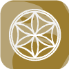 Wealth Compound Management Limited(Colorado (United States))