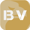 BV PARTNERS, LLC(New Zealand)