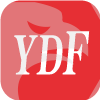 Grand International Futures Co., Limited(Hong Kong)