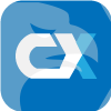 CX FUTURES EXCHANGE, L.P.(Delaware (United States))
