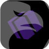 LEESON MOTOR COMPANY LIMITED(United Kingdom)