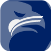 SAVI HOLDINGS LTD(Malta)