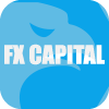 FX CAPITAL MARKETS, LLC(Delaware (United States))