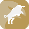 MONEY OCEAN FX LTD(United Kingdom)