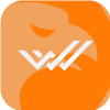 WSN CAPITAL LTD(Cyprus)