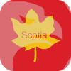 Scotia International Limited(Canada)