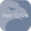 META FOREX MARKETS PTE. LTD.(Singapore)