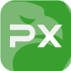 PX FINTECH LIMITED(Belize)