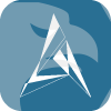 ASO PARTNERS INC.(Arizona (United States))