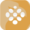BERRY GROUP(France)