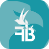 FOREX BIRDS LTD