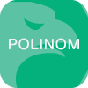POLINOM LLC