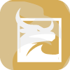 WISDOM TECHNOLOGY SERVICES LIMITED(United Kingdom)