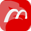 MNGROUP, LLC(Delaware (United States))