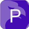 PROS GROUP