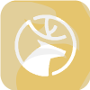 JMDSA LTD(United Kingdom)
