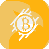 EXPERT MINING LLC(Florida (United States))