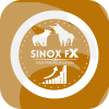 SINOX FX LIMITED(United Kingdom)