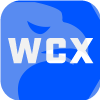 WCX INC