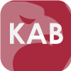 KAB STRATEGY LIMITED(Cyprus)