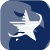 BLUESTAR EQUITY GROUP LIMITED(New Zealand)
