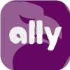 ALLY FINANCIAL INC.(Delaware (United States))