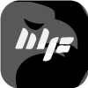 WGM SERVICES LTD(United Kingdom)