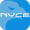 NYCE SECURITIES & DERIVATIVES LIMITED(India)