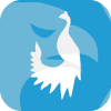 TOPIC MARKETS LIMITED(United Kingdom)