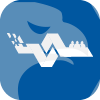 INFINITE TRADE GROUP INC.(New Jersey (United States))