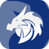 Blue Dragon LLC(Virginia (United States))