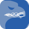 FXSPOTSTREAM, LLC(Delaware (United States))