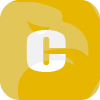 CURRENCY SOLUTIONS LIMITED(United Kingdom)