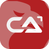 CORPORATE ALLIANCE GROUP (NZ) LIMITED(New Zealand)
