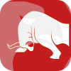BFS GROUP LIMITED(United Kingdom)