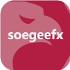 PT Soegee Futures(Indonesia)