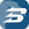 BRUNSDON CAPITAL PTY LTD