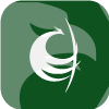 PHOENIX CAPITAL SECURITIES LIMITED(Hong Kong)