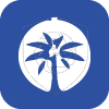 PALM CAPITAL