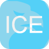 ICE MARKETS LIMITED(United Kingdom)