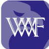 WISE WOLVES FINANCE LTD(Cyprus)