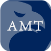 AMT FUTURES LIMITED(United Kingdom)